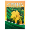 Книга - Сенна 32 стр.