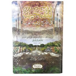 Книга на арабском языке - Аль-Мунтахаб фи шархиль амийятиль гараб
