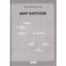 Книга - Мир ангелов. изд. Умма