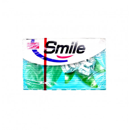 Жевательная резинка "Smile" эвкалипт, 20 г