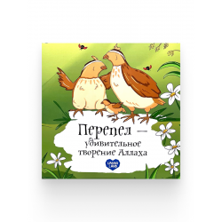 Книга детская "Перепел - удивительное творение Аллаха", изд. UmmaLand