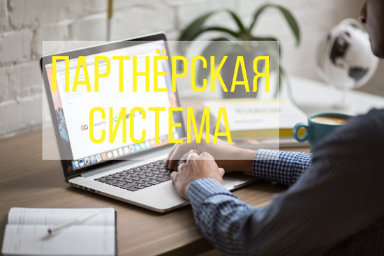 партнерская система